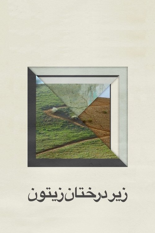 Zeytin Ağaçları Altında